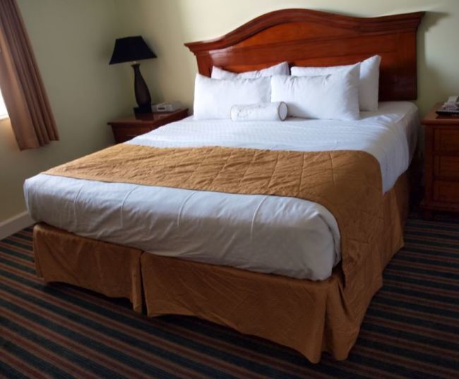 stay healthy this winter sleep