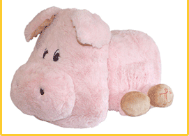 Treasure Chest Pet Pig Giveaway