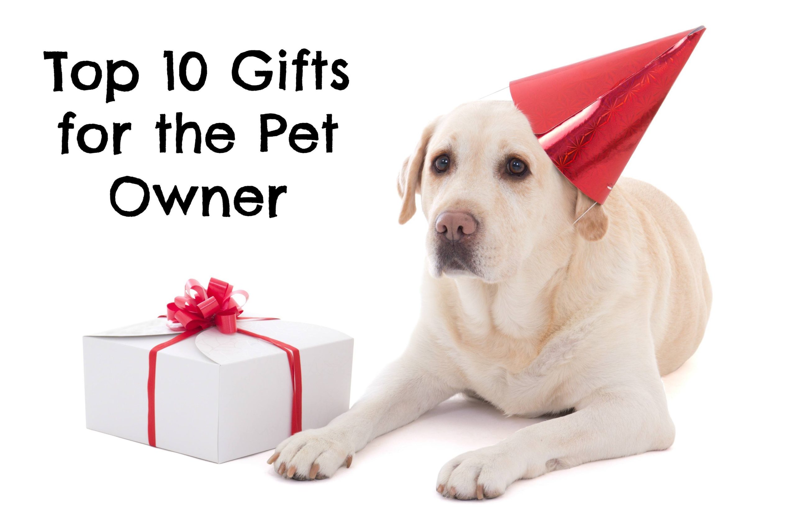 Top 10 Gifts for the Pet Owner