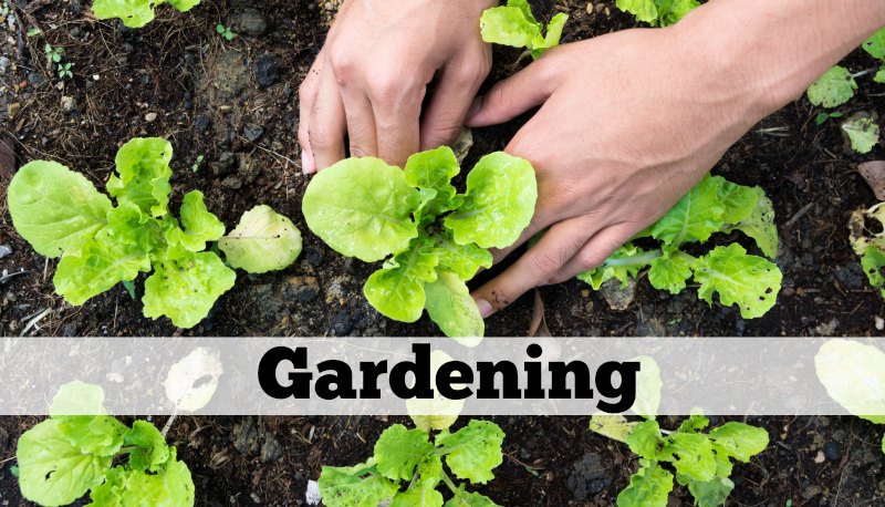 gardening information