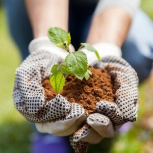 must have garden tools