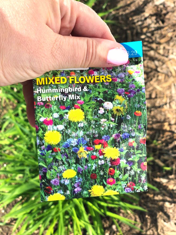 seed packet for butterfly garden