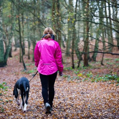What’s the Easiest Way to Prevent Ticks During Hiking or Travel With Dogs