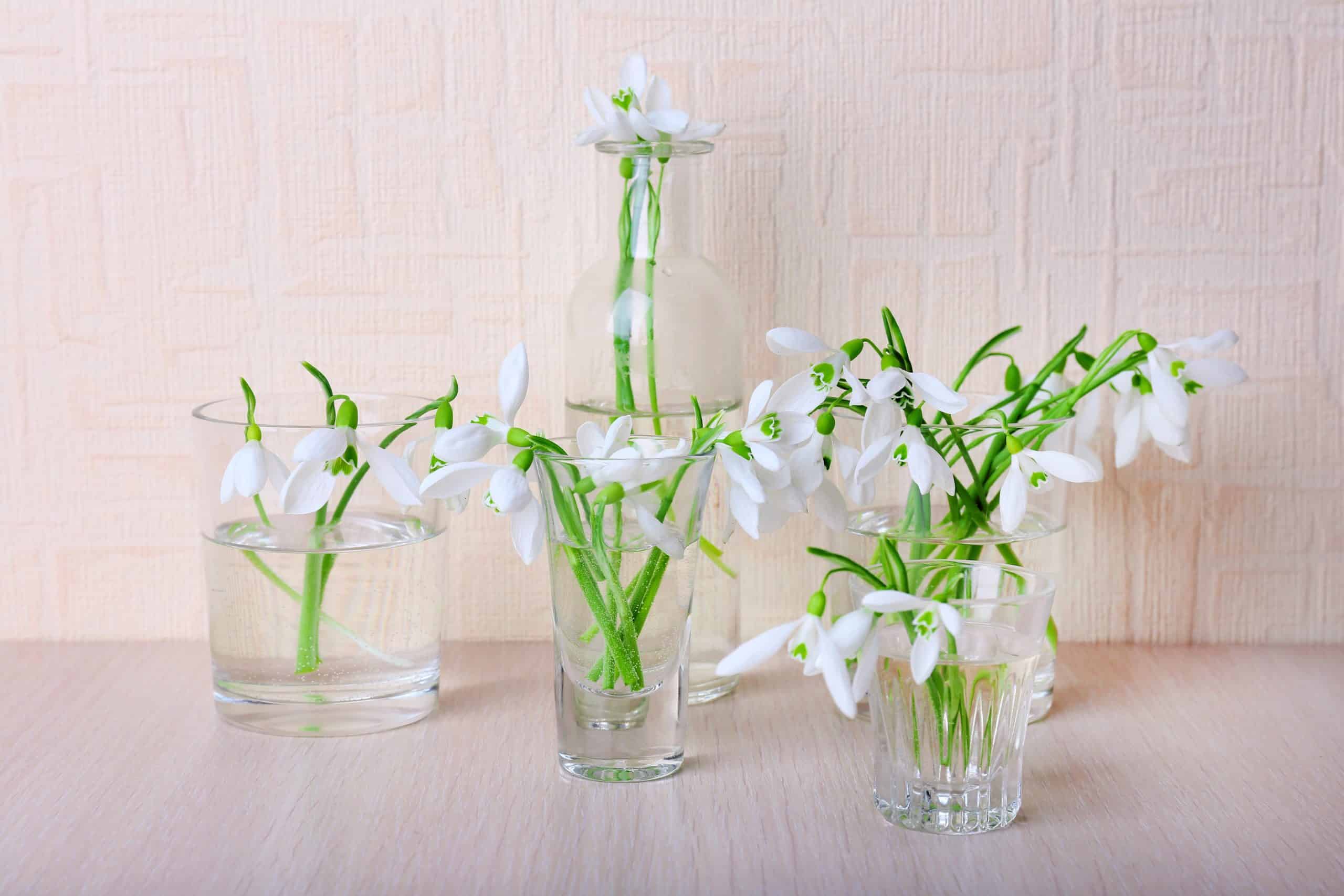 Affordable Floral Decor Made Easy: A Mom&rsquo;s Guide to the Best Bulk Glass Bud Vase Brands