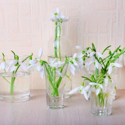 Affordable Floral Decor Made Easy: A Mom&rsquo;s Guide to the Best Bulk Glass Bud Vase Brands