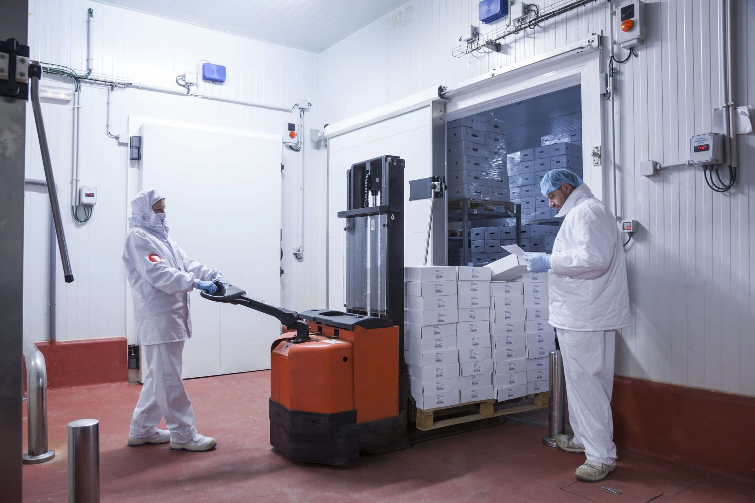 The Benefits of Temporary Freezer Space for Food Businesses