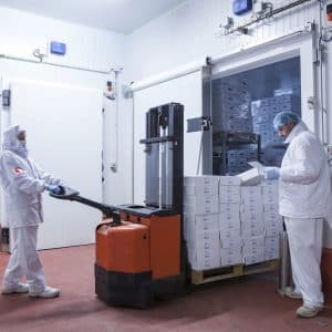 Workers with hygienic clothes removing a pallet of boxes from the freezer camera of the meat cutting room