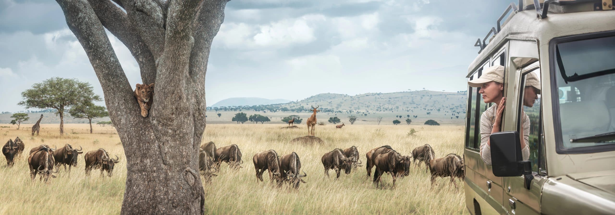 How To Make the Most of a Wildlife Adventure in the Maasai Mara