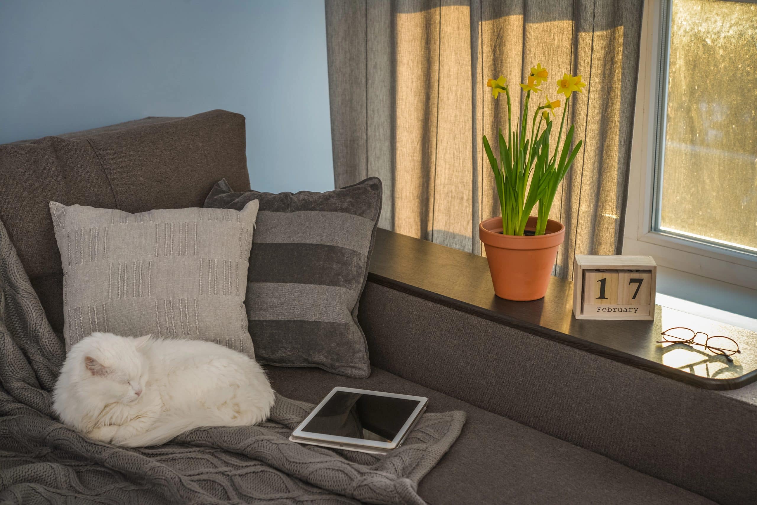 How to Make Your Home Cozier WITHOUT Buying More Stuff