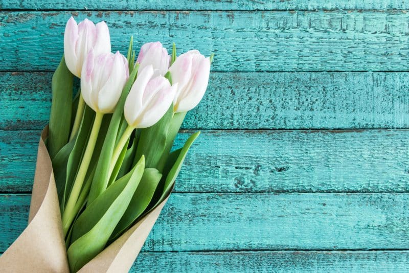 Light pink tulips bouquet on turquoise wooden tabletop with copy space, wedding flowers background concept
Light pink tulips